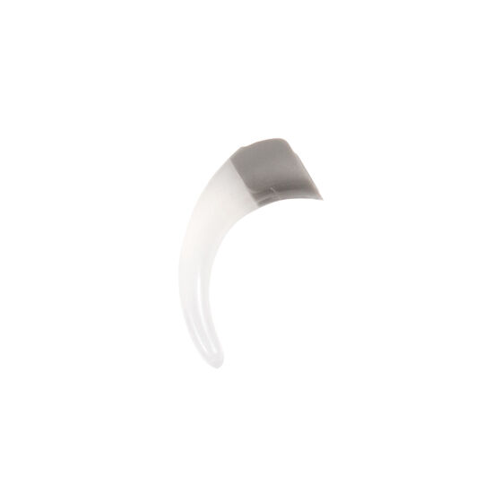 Nucleus 6 Earhook